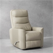 Pemberly Row Polyester/PU Manual Swivel Glider Recliner in Oyster