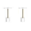 Pemberly Row Set of 2 Clear Plastic/Acrylic Martini End Tables with Gold Accents