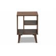 Pemberly Row Set of 2 Contemporary Wood End Tables in Brown Finish