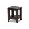 Pemberly Row Set of 2 Contemporary Dark Browned Wood End Tables