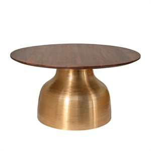 Pemberly Row Contemporary Solid Wood Top Coffee Table in Gold