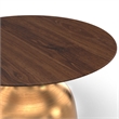 Pemberly Row Contemporary Solid Wood Top Coffee Table in Gold