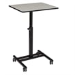 Pemberly Row Modern Powder-Coated Metal Sit and Stand Student's Desk in Gray
