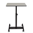 Pemberly Row Modern Powder-Coated Metal Sit and Stand Student's Desk in Gray