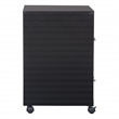 Pemberly Row 2 Drawer Mobile Locking Metal File Cabinet in Black