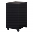 Pemberly Row 2 Drawer Mobile Locking Metal File Cabinet in Black