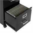 Pemberly Row 2 Drawer Mobile Locking Metal File Cabinet in Black
