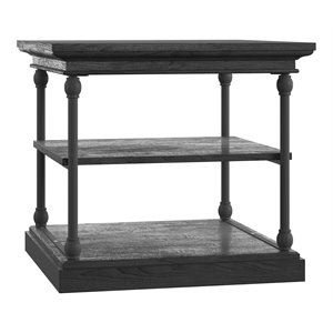 Pemberly Row Storage Transitional Metal & Wood Accent Table in Black