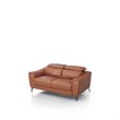 Pemberly Row Adjustable Headrest Modern Metal and Leather Loveseat in Brown