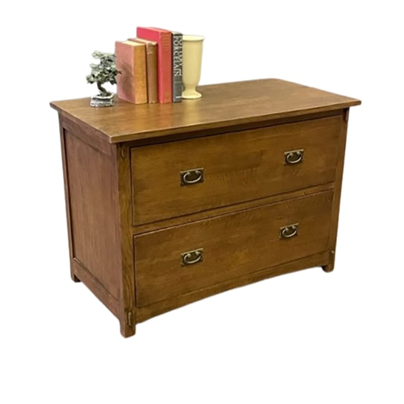 Pemberly Row Modern 2-Drawer Wood Lateral File Cabinet in Oak