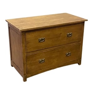 Pemberly Row Modern 2-Drawer Wood Lateral File Cabinet in Oak