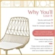 Pemberly Row Contemporary Metal Dining Chair in Gold (Set of 2)