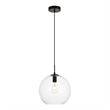 Pemberly Row 1-Light Transitional Metal Pendant - Black & Clear
