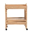 Pemberly Row 1-Shelf Modern Rattan & Wood Wine Cart in Natural Brown