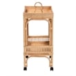 Pemberly Row 1-Shelf Modern Rattan & Wood Wine Cart in Natural Brown