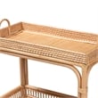 Pemberly Row 1-Shelf Modern Rattan & Wood Wine Cart in Natural Brown
