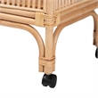 Pemberly Row 1-Shelf Modern Rattan & Wood Wine Cart in Natural Brown