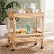 Pemberly Row 1-Shelf Modern Rattan & Wood Wine Cart in Natural Brown