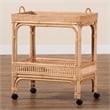 Pemberly Row 1-Shelf Modern Rattan & Wood Wine Cart in Natural Brown