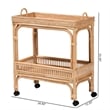 Pemberly Row 1-Shelf Modern Rattan & Wood Wine Cart in Natural Brown