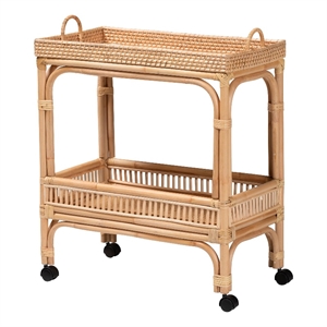 Pemberly Row 1-Shelf Modern Rattan & Wood Wine Cart in Natural Brown