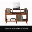 Pemberly Row Contemporary Large Record Storage Console Walnut