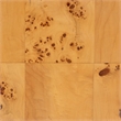 Pemberly Row Modern Natural Real Burl Wood 1-Drawer Nightstand