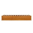 Pemberly Row Twin XL Wood Panel Platform Bed w/ Twin XL Trundle in Light Toffee