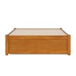 Pemberly Row Twin XL Wood Panel Platform Bed w/ Twin XL Trundle in Light Toffee