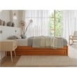 Pemberly Row Twin XL Wood Panel Platform Bed w/ Twin XL Trundle in Light Toffee