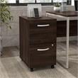 Pemberly Row 2 Drawer Mobile File Cabinet in Black Walnut - Engineered Wood