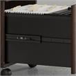 Pemberly Row 2 Drawer Mobile File Cabinet in Black Walnut - Engineered Wood