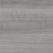 Pemberly Row 2 Drawer Mobile File Cabinet in Platinum Gray - Engineered Wood