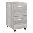 Pemberly Row 2 Drawer Mobile File Cabinet in Platinum Gray - Engineered Wood