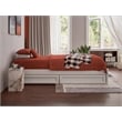 Pemberly Row Twin XL Solid Wood Panel Platform Bed with Storage Drawers in White