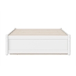 Pemberly Row Twin XL Solid Wood Panel Platform Bed with Storage Drawers in White