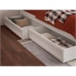 Pemberly Row Twin XL Solid Wood Panel Platform Bed with Storage Drawers in White