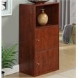 Pemberly Row Set of 2 Contemporary Two-Door Bookcases in Cherry Wood