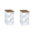 Pemberly Row Set of 2 Driftwood Top Chairside End Tables with Shelves in White