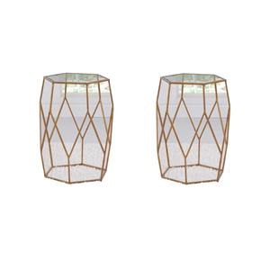 Pemberly Row Set of 2 Hexagonal Clear Glass and Metal Chairside End Tables