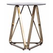 Pemberly Row Set of 2 Round End Tables in Champagne with Smoked Glass