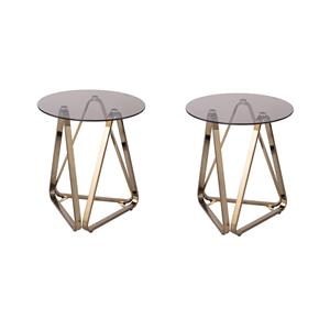 Pemberly Row Set of 2 Round End Tables in Champagne with Smoked Glass