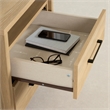 Pemberly Row Set of 2 Contemporary 2-Drawer Nightstands in Natural Ash