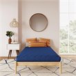 Pemberly Row 6-Inch Quilted Twin Mattress with Removable Cover in Blue