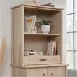 Pemberly Row Transitional Engineered Wood Library Hutch in Maple