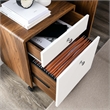 Pemberly Row Modern Wood & Plastic File Cabinet in Walnut/White