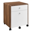 Pemberly Row Modern Wood & Plastic File Cabinet in Walnut/White
