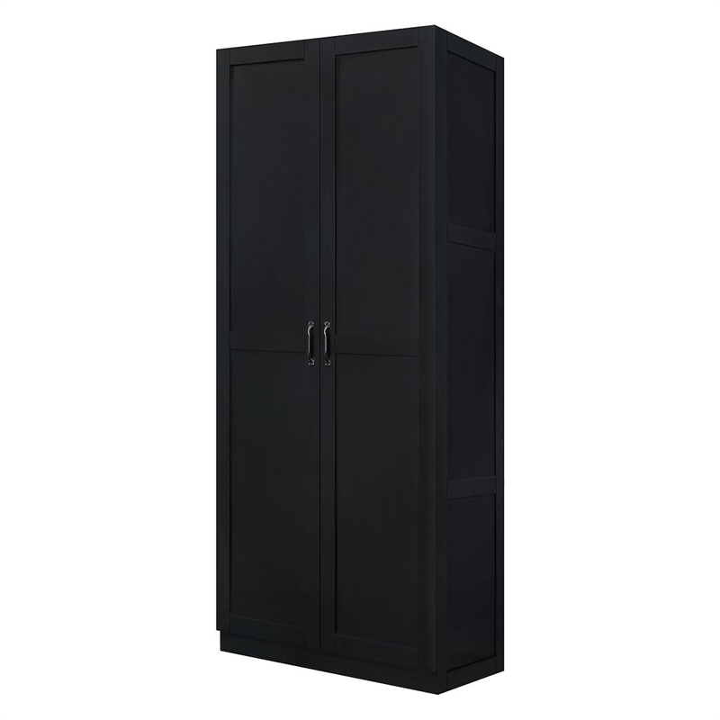 Pemberly Row Contemporary Engineered Wood Storage Closet in Black