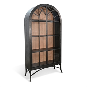 Pemberly Row Contemporary Glass Display Solid Wood Cabinet in Black