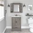 Pemberly Row Engineered Wood Bathroom Vanity Sink with Mirror in Driftwood Gray